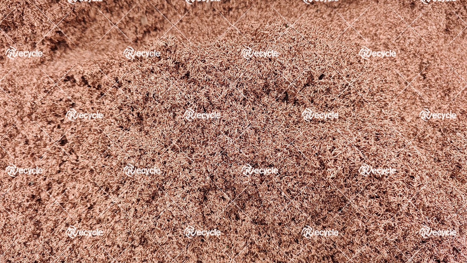 拉斯维加斯9888(中国游)官方网站