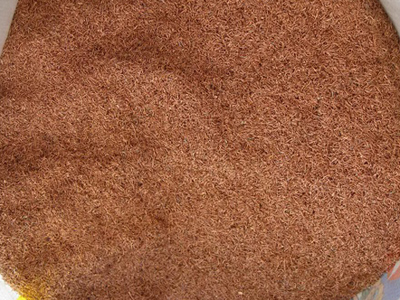 拉斯维加斯9888(中国游)官方网站