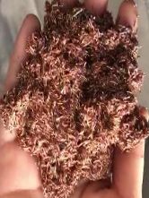 拉斯维加斯9888(中国游)官方网站